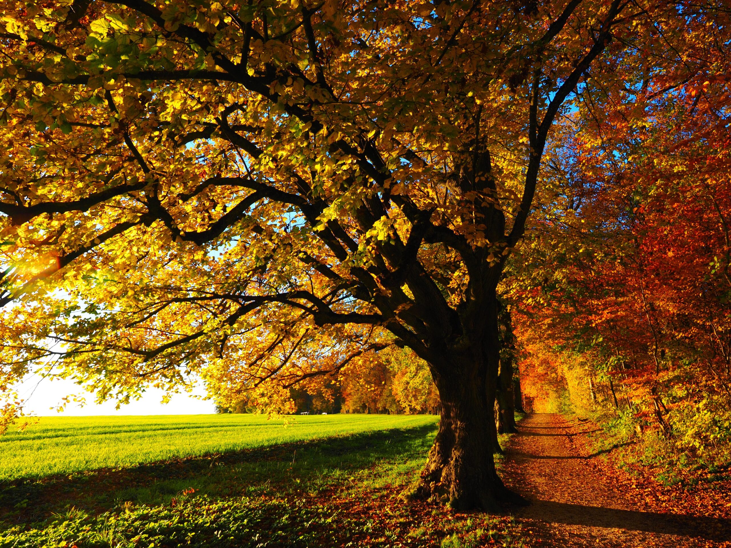 autunno